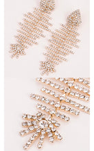 Load image into Gallery viewer, Xtra Shiny Fishbone Drop Earrings