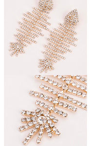Xtra Shiny Fishbone Drop Earrings