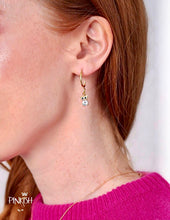 Load image into Gallery viewer, Shiny Owl Earrings